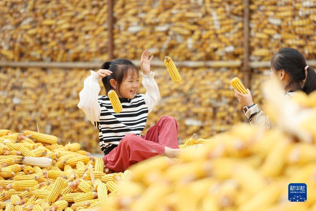 十博登录地址